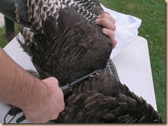 FAll 2010 024