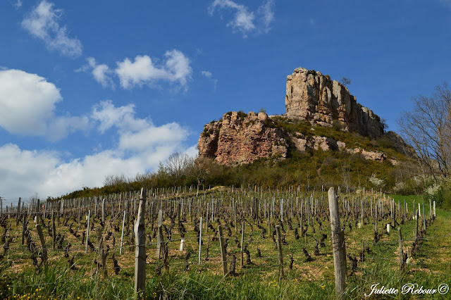 Roche de Solutré et vignes en Bourgogne