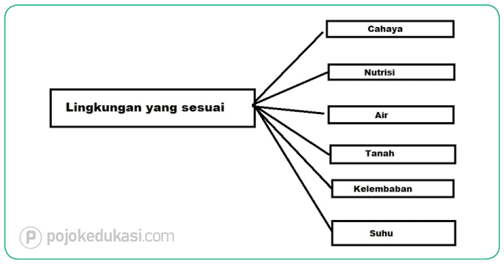 Kunci Jawaban Halaman 25, 27, 28, 29, 30, 31, 32 Tema 6 Kelas 4