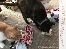 Real Cats Paisley & Webster check out their Secret Paws presents