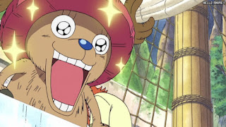 ワンピース アニメ 空島 スカイピア 159話 チョッパー Tony Tony Chopper | ONE PIECE Episode 159 Skypiea