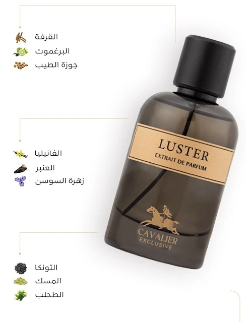 مكونات عطر لوستر من كافالير