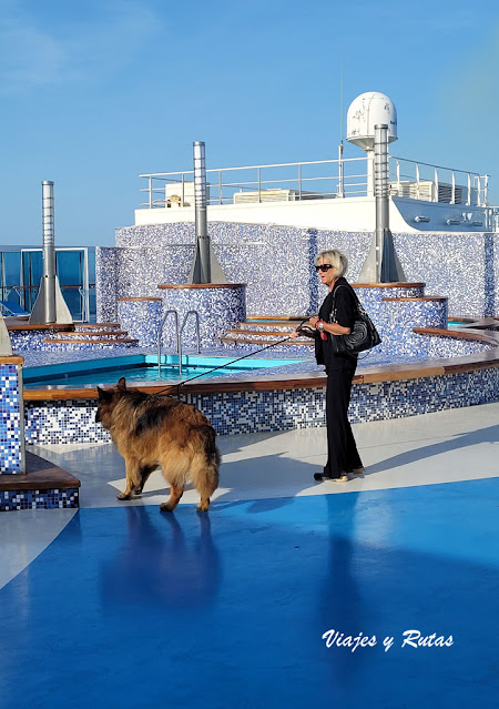 Paseando a tu mascota en el ferry de Grimaldi