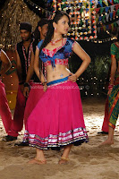 Pooja, bose, hot, navel, show, photos, gallery