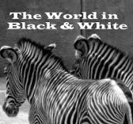 http://theworldinblackwhite.blogspot.com/