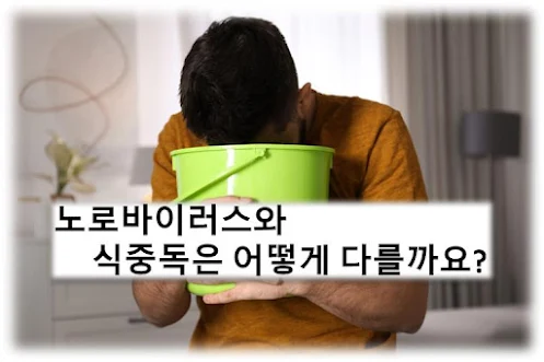 노로바이러스 vs. 식중독: 공통 증상의 미묘한 차이와 예방 전략