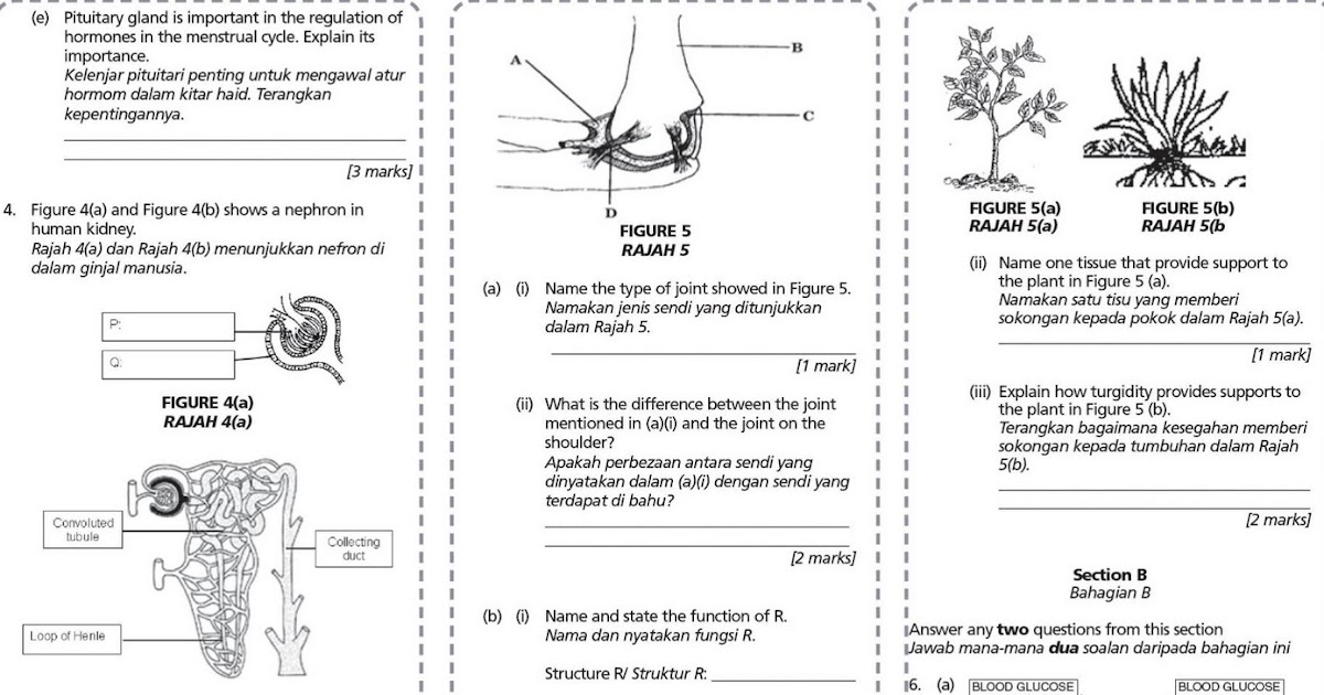 Koleksi Soalan Bm Spm 2019 - Woodwork Sample