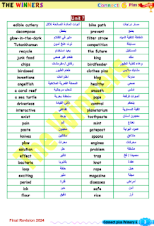 مراجعة كونكت بلس الصف السادس الابتدائى الفصل الدراسي الثانى