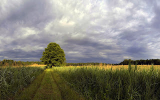 beautiful+farmland+wallpapers