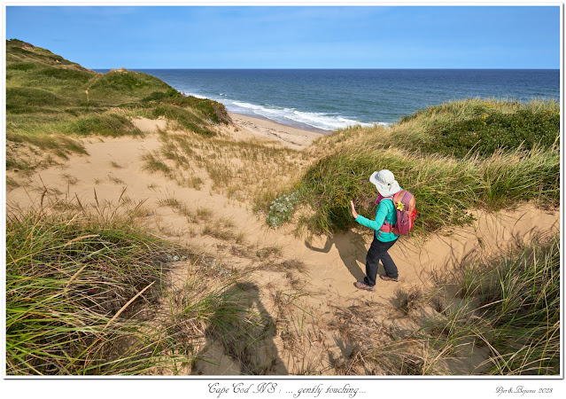 Cape Cod NS: ... gently touching...