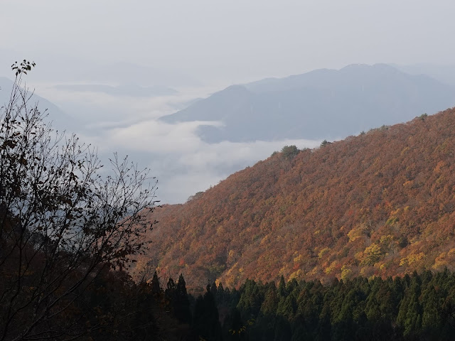 鳥取県道45号倉吉江府溝口線（大山環状道路）鍵掛峠(大山展望台)