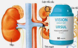 Thực phẩm chức năng Ursul Vision chống viêm nhiễm đường tiết niệu