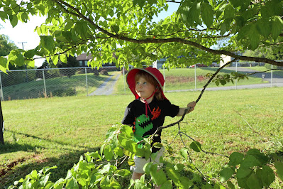 two year old girl holds tree limb and looks to the left