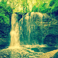 Unseen Waterfall in Forest Wallpaper