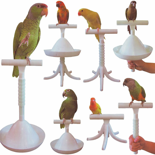 Bird Training Perch