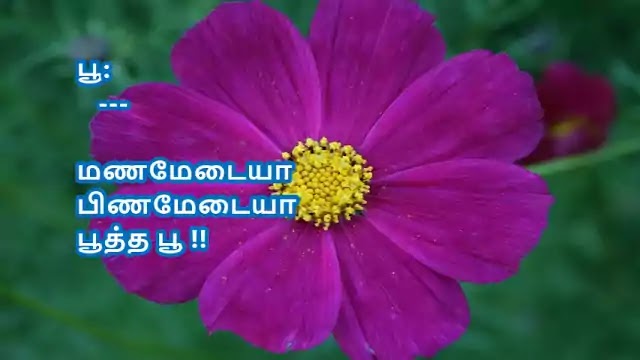 Tamil Haiku Kavithai 154