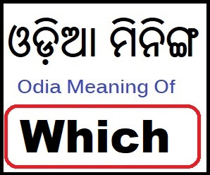 Which odia meaning