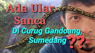 Ada Ular Sanca di Curug Gandoang atau Curug Tirtabuana Sumedang ??