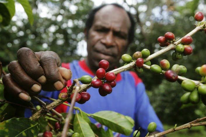 Aneka Kopi Nusantara