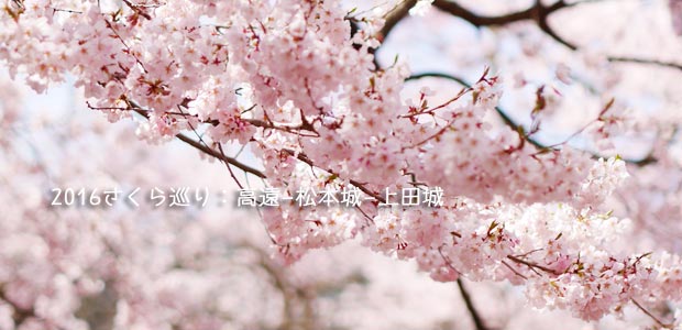長野の高遠城址･松本城･上田城の桜がすごい！