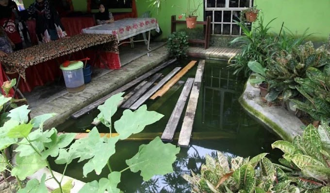 Kolam Hiasan Ikan Bawa Padah | Budak dua tahun meninggal dunia kerana lemas