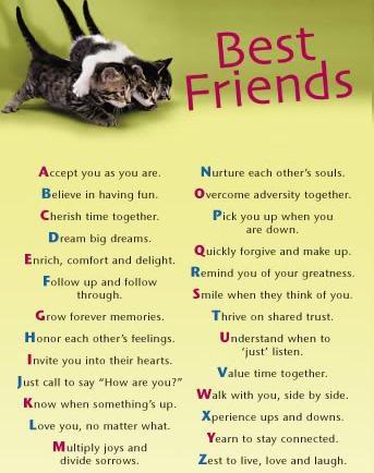 Best Friend Quotes - Apihyayan Blog