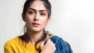 Mrunal Thakur Filmography, Roles, Verdict (Hit / Flop), Box Office Collection, And Others