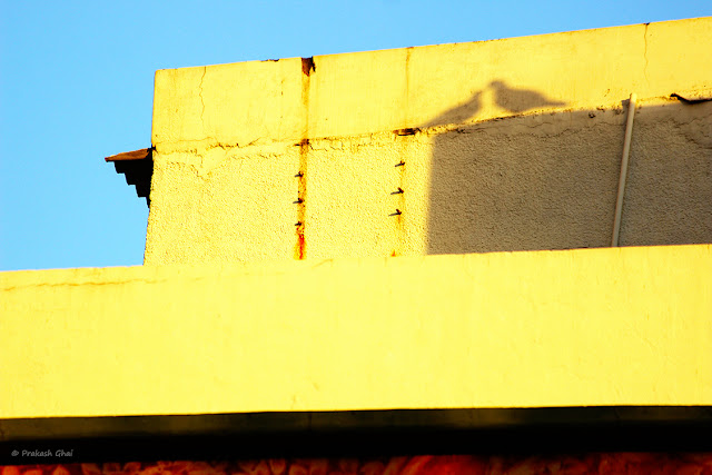 A minimalist photo of the Shadow of two birds sitting on a wall sharing an intimate moment