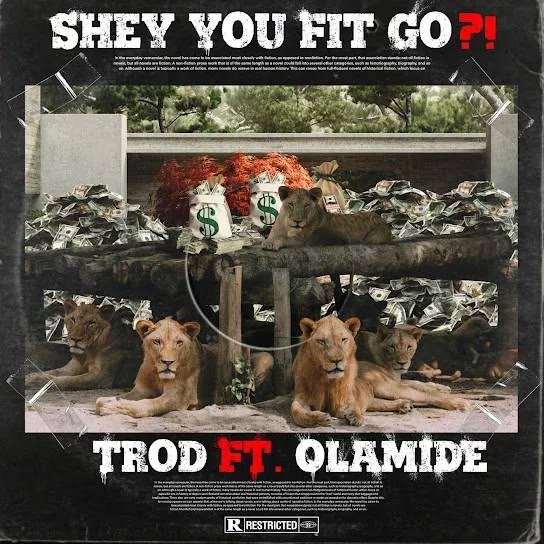 TROD ft. Olamide Shey You Fit Go Lyrics