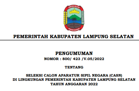 Rincian Formasi ASN PPPK Kabupaten Lampung Selatan Tahun 2022