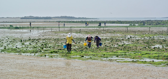 korea corée du sud muchangpo beach boryeong