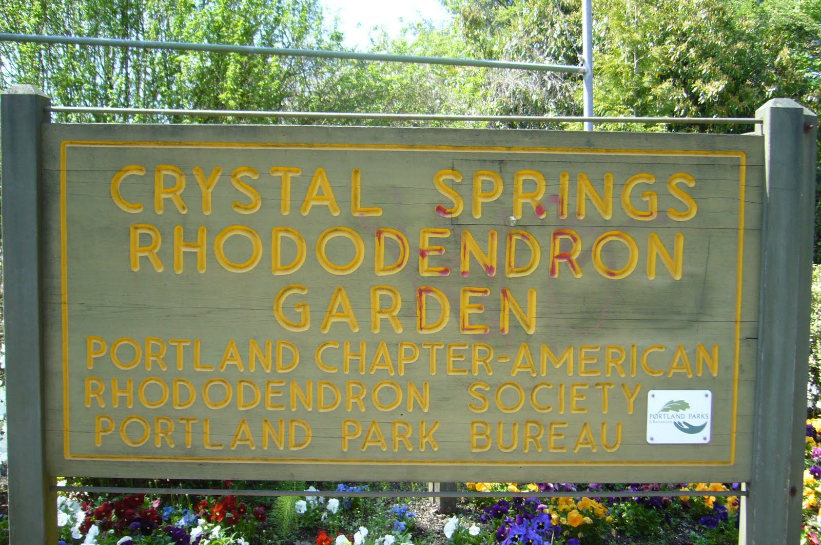 Amateur Bot-ann-ist: Crystal Springs Rhododendron Garden (Portland ...