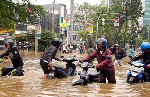 Bentuk Kerusakan Lingkungan Hidup Akibat Peristiwa Alam 