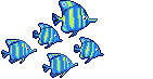 Fundo Do Mar (42)