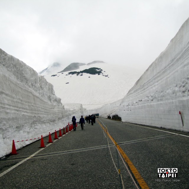 【立山黑部阿爾卑斯山脈路線】超震撼雪之大谷　漫步在14公尺高的雪壁中