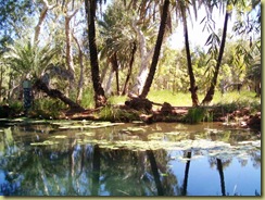 13Chitchester Millstream NP