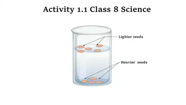 Activity 1.1 Class 8 Science Crop Production and Management