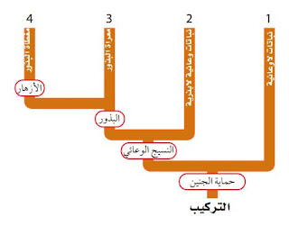 حل أسئلة اختبار مقنن الفصل الثاني ( تركيب النبات ووظائف اجزائه )