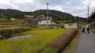 Cycling in Japan | Visiting Shirahige Shrine in Shiga