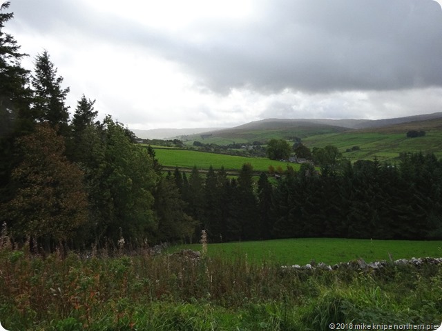 ash gill 004