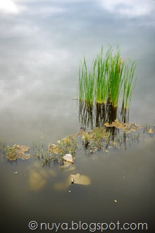 P1120572