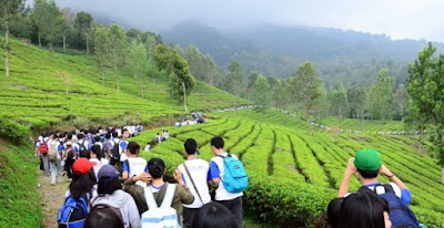 Taman Riung Gunung