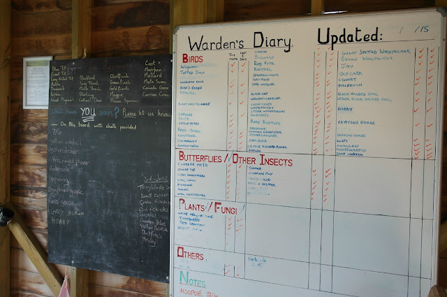 Bird spotter's noticeboard College Lake Wildlife Reserve