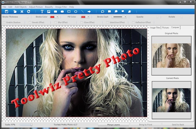 Toolwiz Pretty Photo 2.7.0.0 + Portable [Nueva versión][Editor de fotos con opciones de retoque facial]