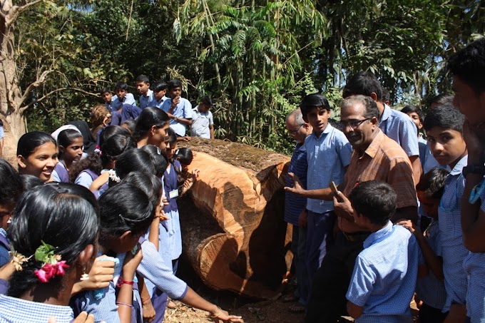  ಅಭಿವೃದ್ಧಿ ಹೆಸರಲ್ಲಿ ಬೃಹತ್ ಮರಗಳಿಗೆ ಕೊಡಲಿ-ಪರಿಸರ ಪ್ರೇಮಿಗಳ ವಿರೋಧ