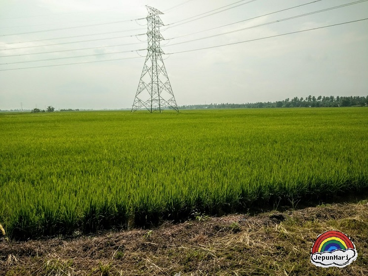 Kenduri kahwin kat Kampong Sabak Bernam dan makanan orang jawa