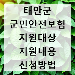 태안군 군민안전보험