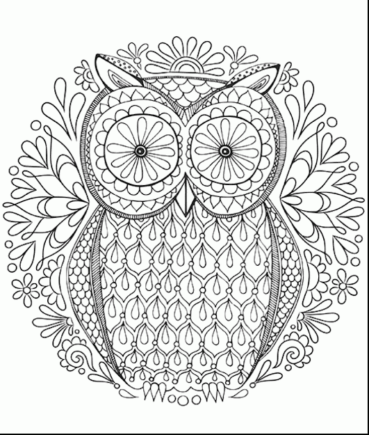 Marvelous Printable Hard Owl Coloring Pages Adult With Fun Coloring Pages  For Adults And Fun Printable