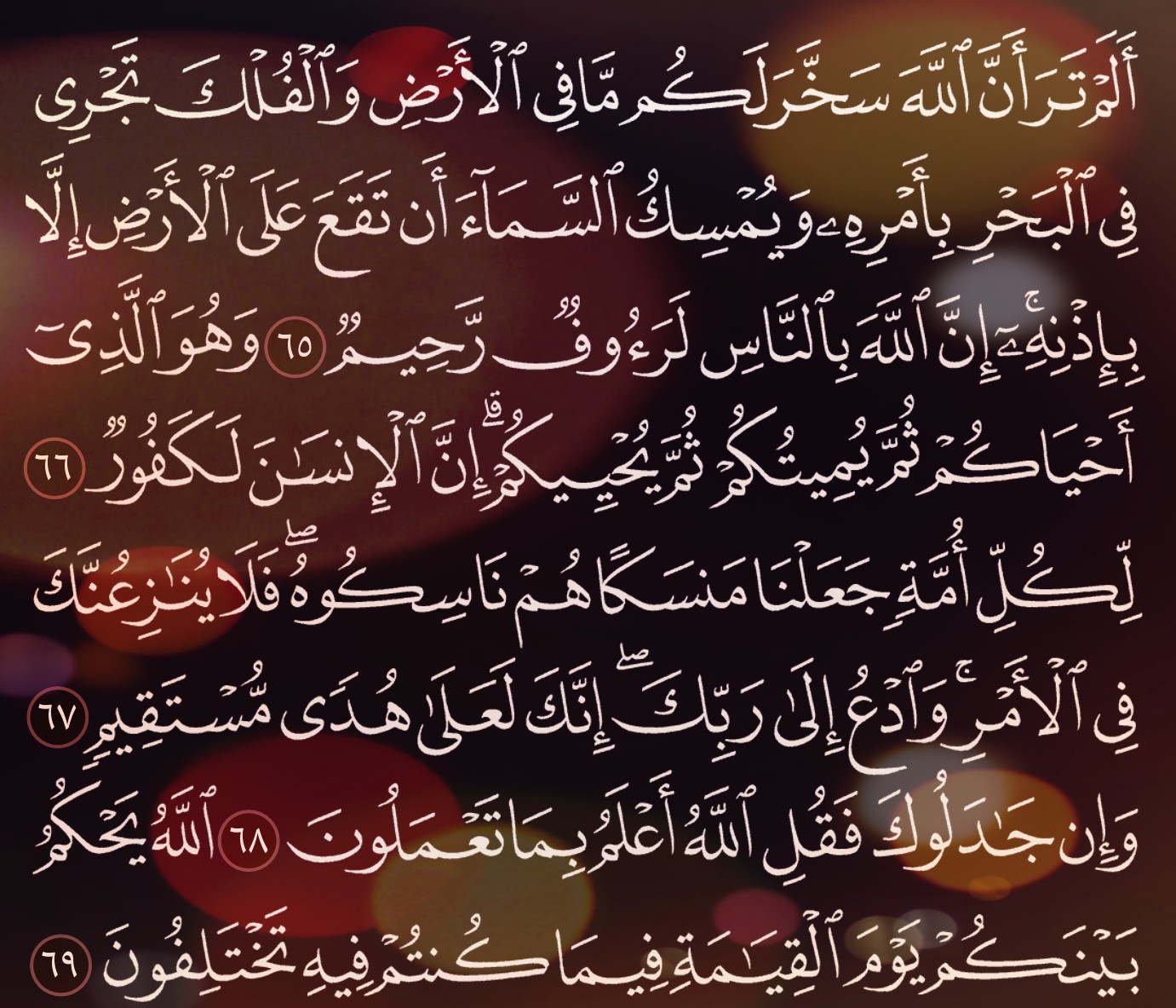 شرح وتفسير سورة الحج Surah Al Hajj ( من الآية 61 إلى الاية 72 )