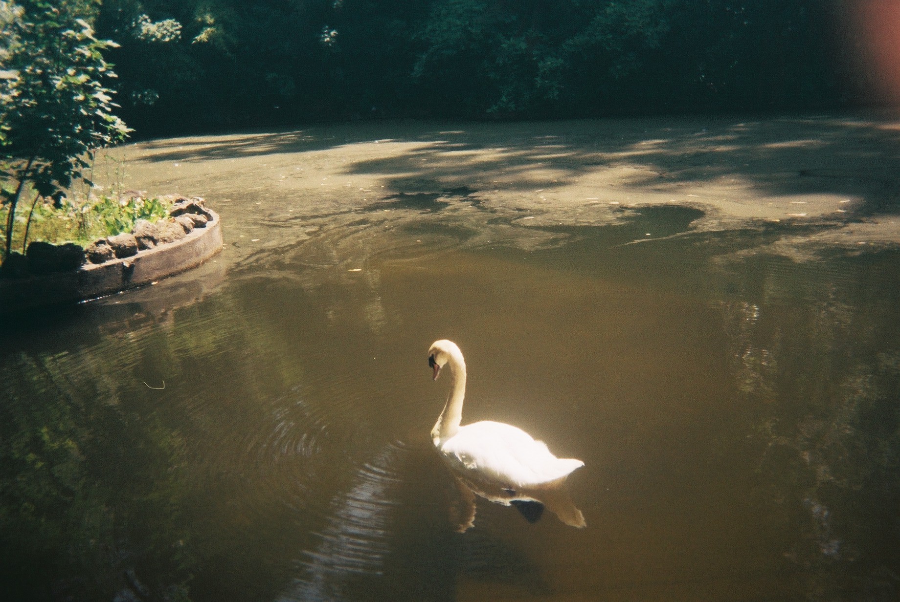 Fonte Fria na Mata do Bussaco | wide image